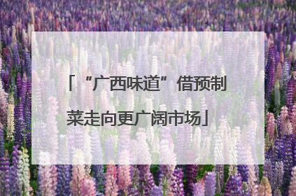 “广西味道”借预制菜走向更广阔市场